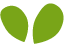 https://valemont.gm/wp-content/uploads/2022/04/green_leaf.png